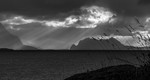 bilde