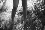 bilde