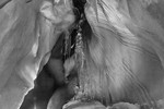 bilde