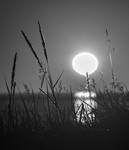 bilde