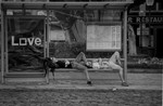 bilde