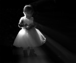 bilde