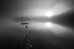 bilde