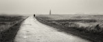 bilde