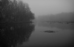 bilde