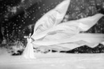 bilde