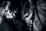 bilde