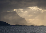 bilde