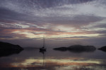 bilde