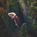 bilde
