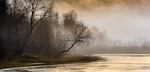 bilde
