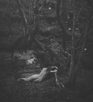 bilde
