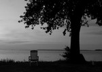 bilde