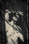 bilde