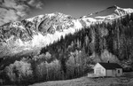 bilde