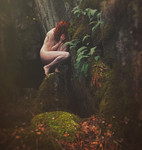 bilde