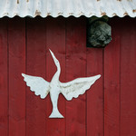 bilde