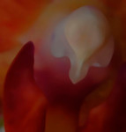 bilde