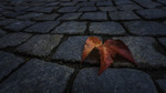 bilde