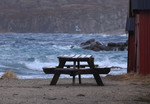 bilde