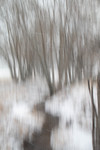 bilde