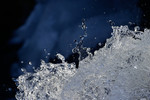 bilde