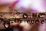 bilde