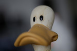 bilde
