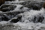 bilde