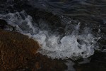 bilde