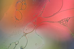 bilde
