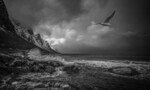 bilde