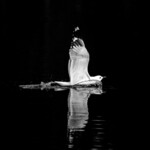 bilde