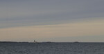 bilde