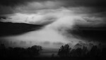 bilde