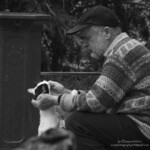 bilde