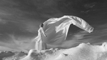 bilde