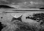 bilde
