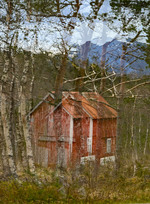 Hus i skogn