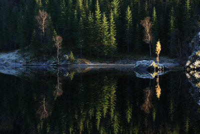 Tussvannet